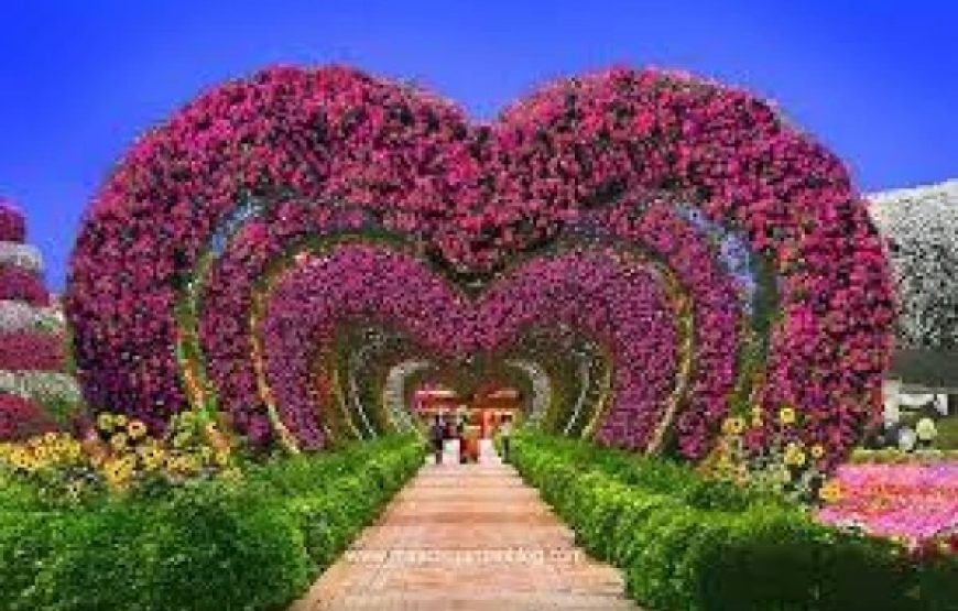 Miracle Garden and Global Villiage Tour